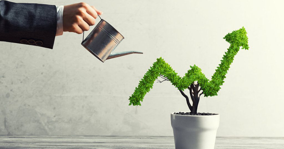 بهترین راه افزایش درآمد برای شما چیست؟